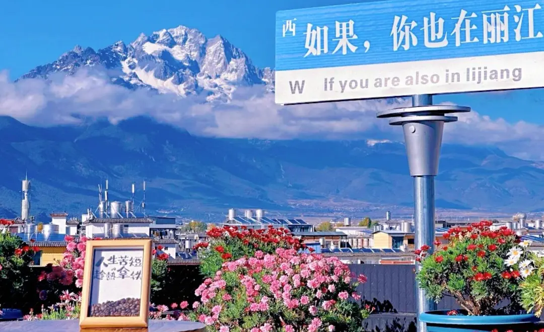 eabb1b3d8a3f779c6062515dfc09cc7e-sz_377626