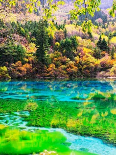 eabcd4ab834fbafb823e229e1538f51f-sz_105322