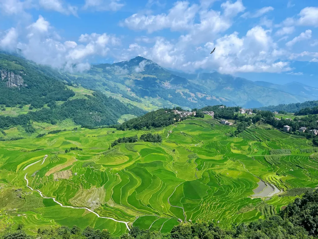 eb39e2eeedebe5c26d6466d97ab75aad-sz_3606950 eb39e2eeedebe5c26d6466d97ab75aad-sz_3606950