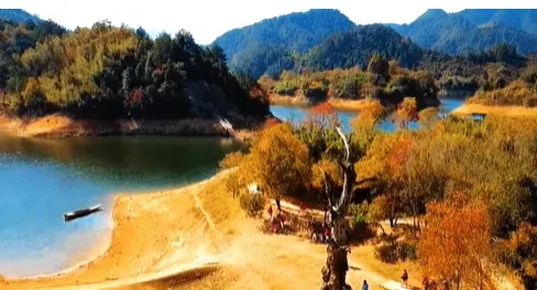 eb6df67f3825c2549716ec04d558ce2e-sz_337447-1