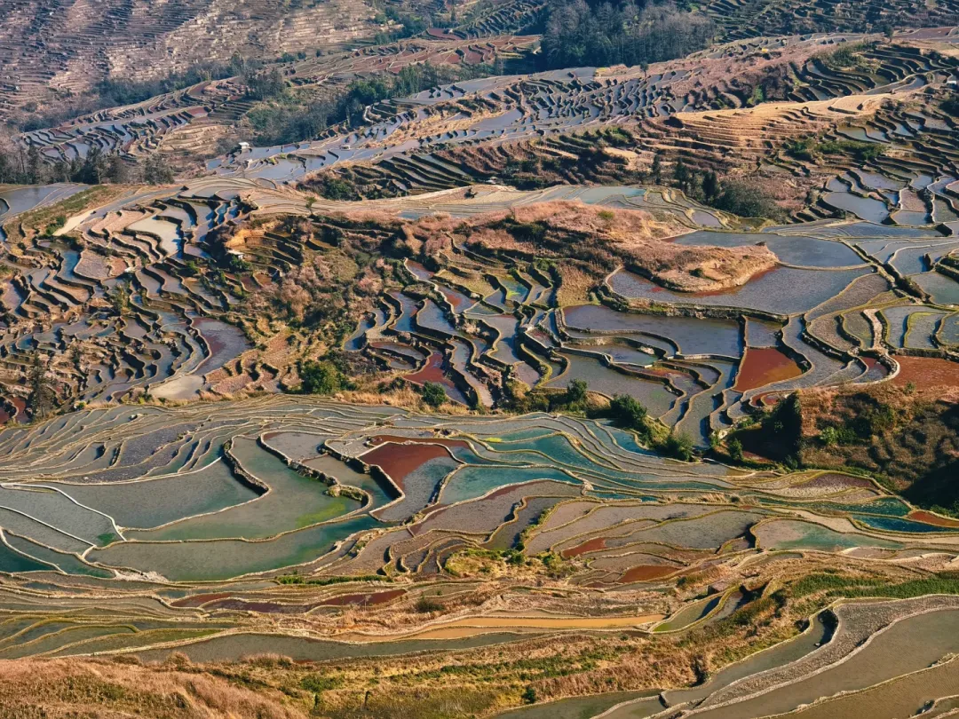 eba1c30c7a7e852bf061137e5e4b8bf6-sz_4508302 eba1c30c7a7e852bf061137e5e4b8bf6-sz_4508302