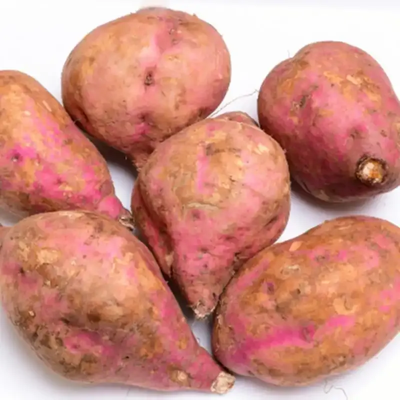 eba54386ba24d1f2f9f1b4cae449f7a2-sz_1302901 eba54386ba24d1f2f9f1b4cae449f7a2-sz_1302901