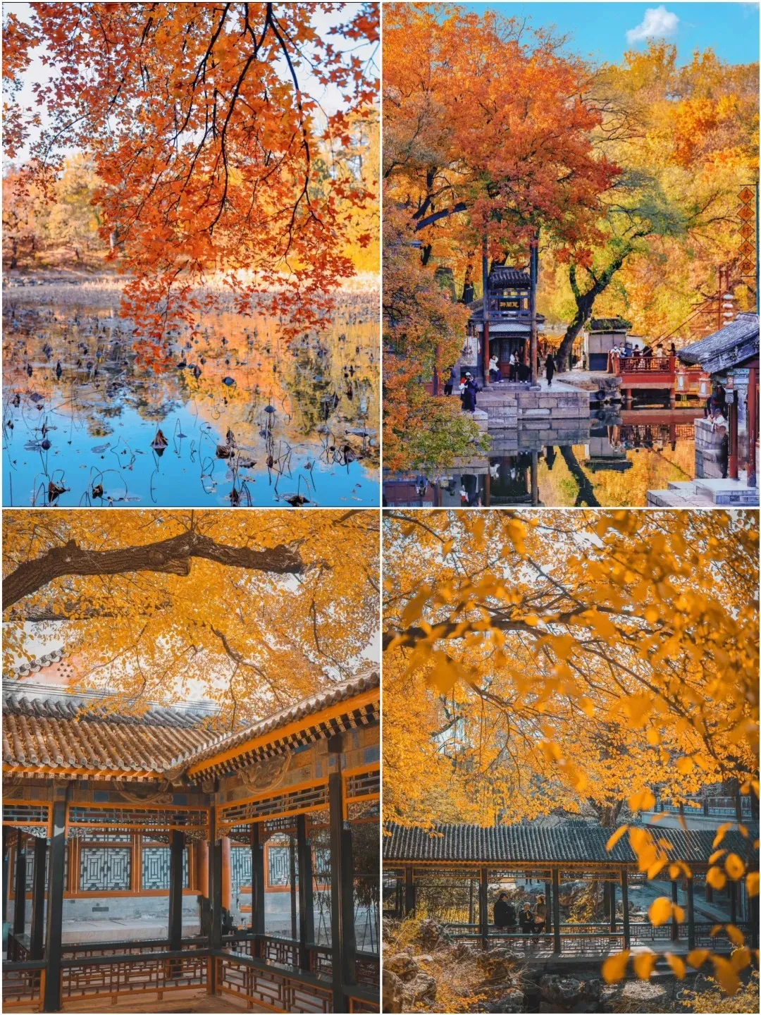 eba64e5efd67143515ec6709524a8cd6-sz_751785-1 eba64e5efd67143515ec6709524a8cd6-sz_751785-1