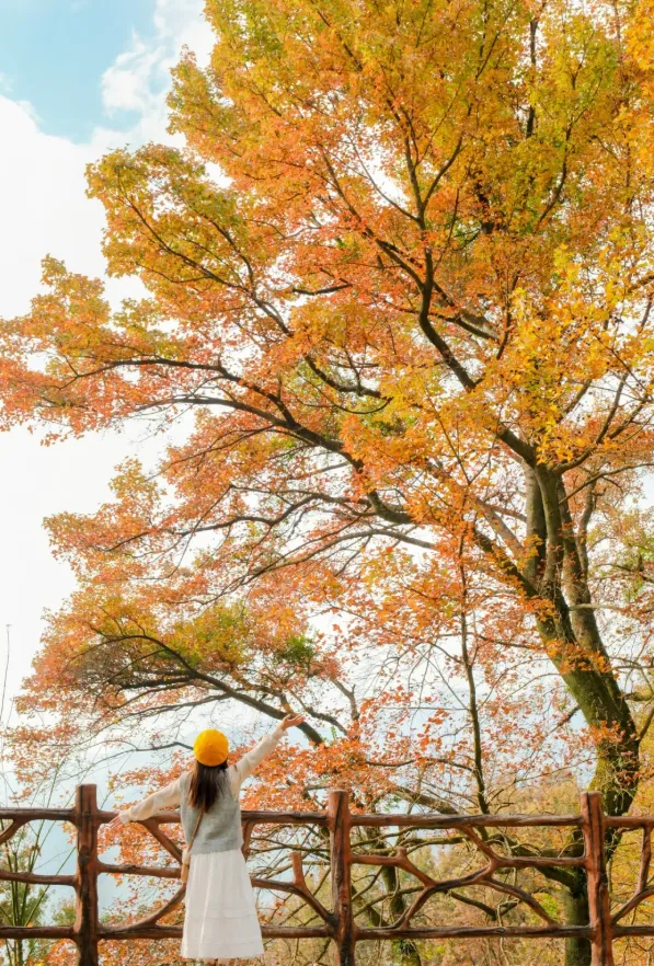 ebc8d0a66c0218a0db90ce0b985c7595-sz_1442926 ebc8d0a66c0218a0db90ce0b985c7595-sz_1442926