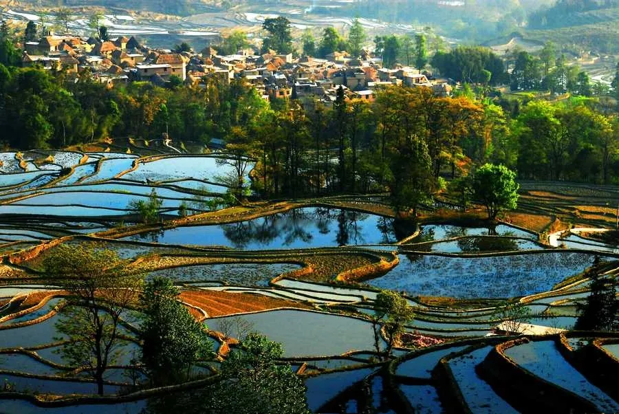 ebdcf740cd904733937b4262a2ef437a-sz_413325