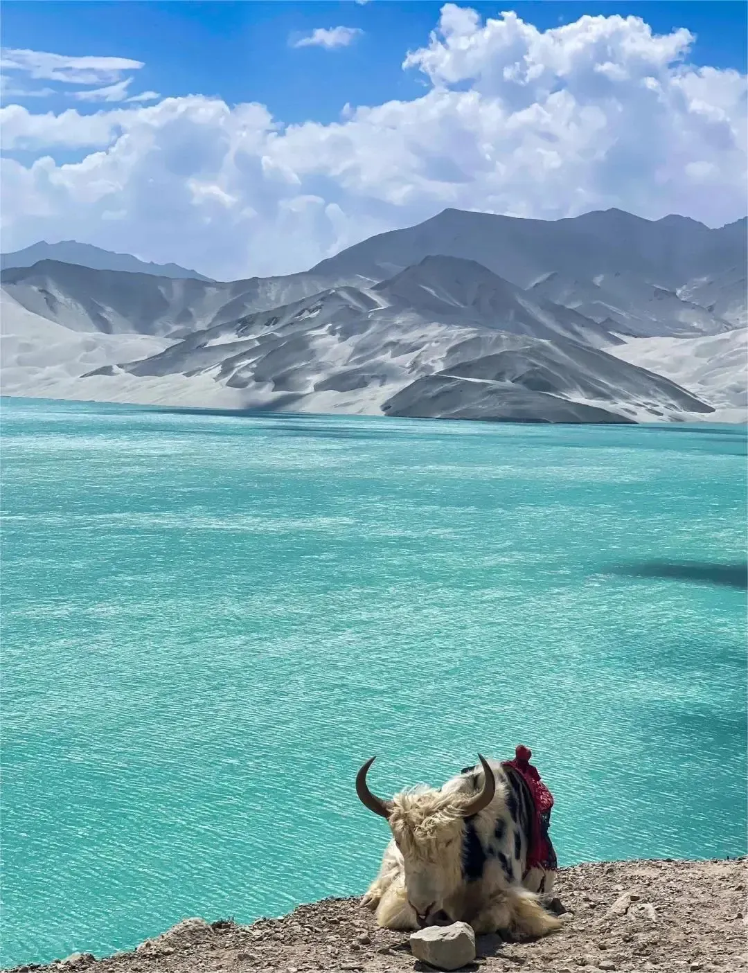 ebfd243d898999dfcc5aa68d3f5d0b9f-sz_2222256