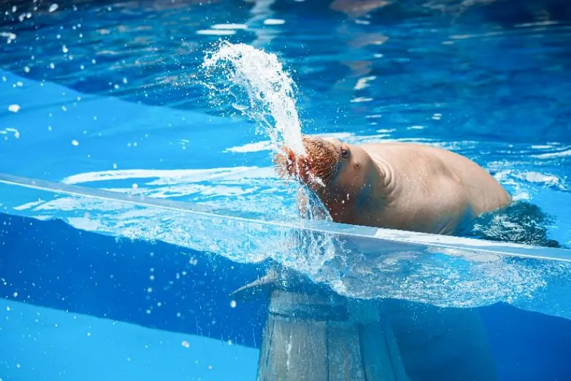 ec1f9fce5d6f88bfbfb272fc396f129f-sz_786769