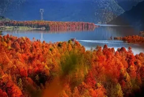 ec29b47acd5f75beebe761d0b2180273-sz_361051 ec29b47acd5f75beebe761d0b2180273-sz_361051