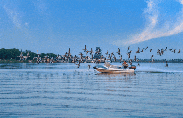 ec3275141ef1f9f5e599263e9c814383-sz_187742 ec3275141ef1f9f5e599263e9c814383-sz_187742