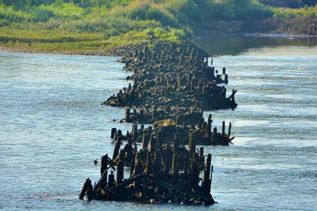 ec6ba474f614e6efb6132d25e1710105-sz_4752157