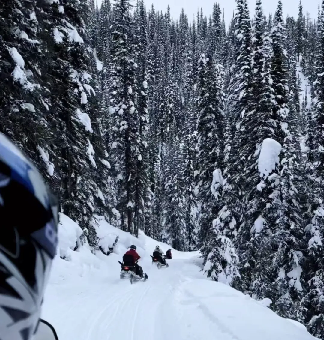 ec6cabc013909f885786195c298a669a-sz_2469161 ec6cabc013909f885786195c298a669a-sz_2469161