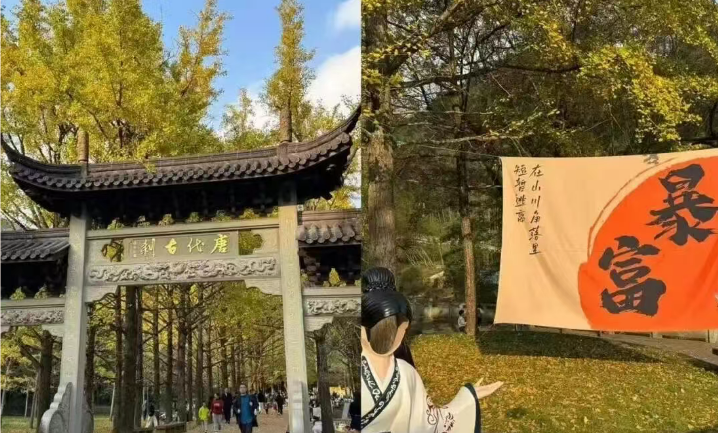 ec71446db0fa476c3c21a9dfe8c701e2