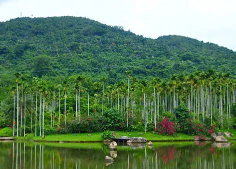 ec7af81813ae77d3b6e72e33e3dd3429-sz_65328 ec7af81813ae77d3b6e72e33e3dd3429-sz_65328