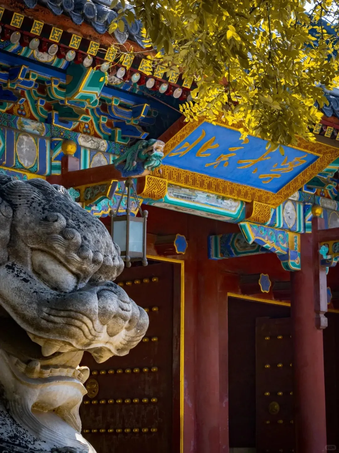 ec84f914646cd4be58ce85e1fcfa5aaf-sz_449146 ec84f914646cd4be58ce85e1fcfa5aaf-sz_449146