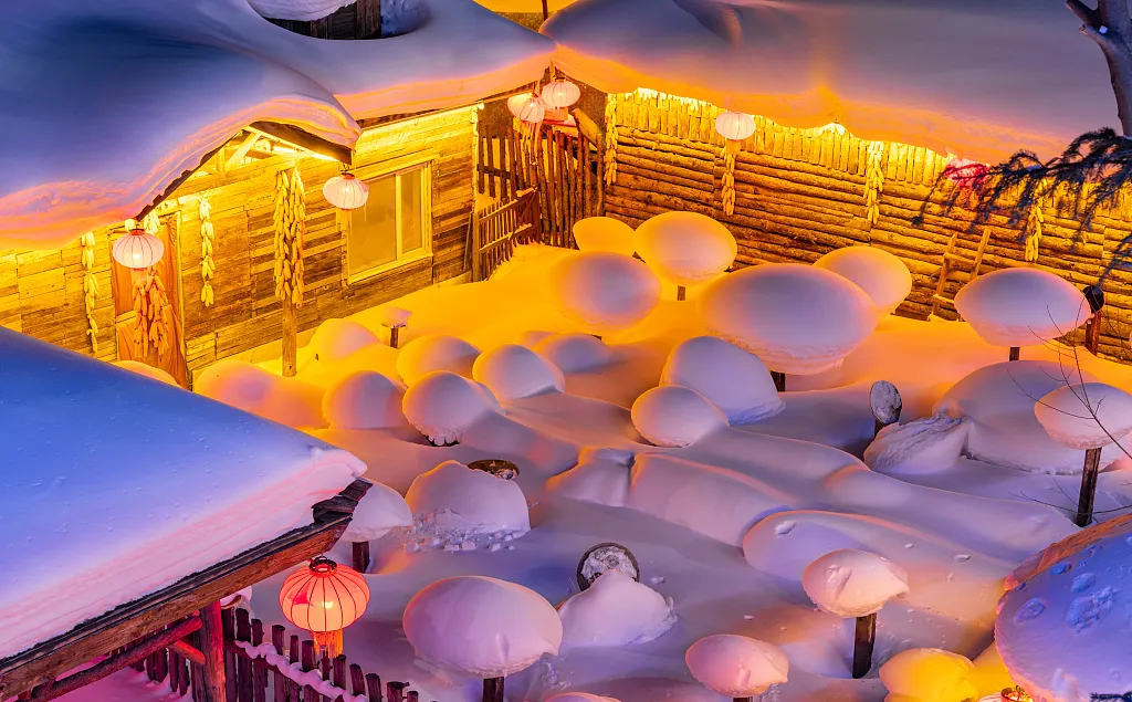 ec86c5c66fd8c0e341e335f05cec5001-sz_916635-1