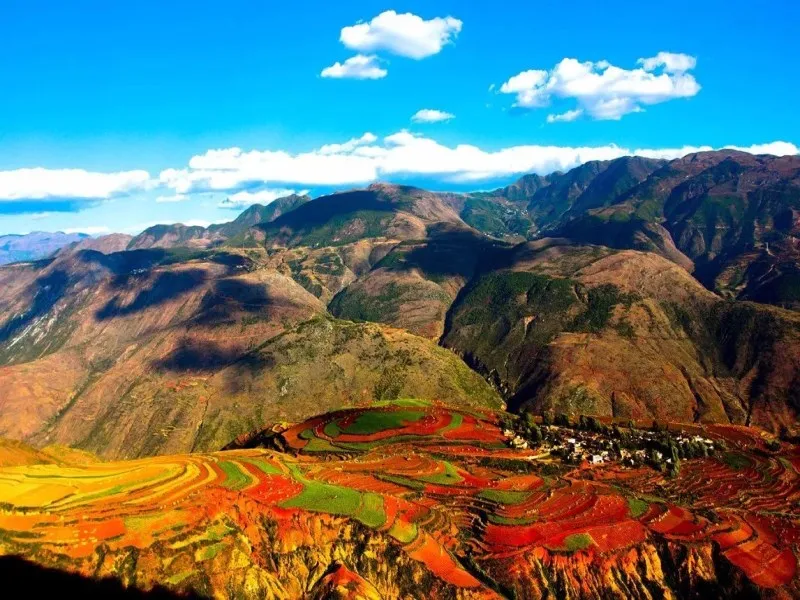 ecd7a5cfce053598284e8343da44080b-sz_155610