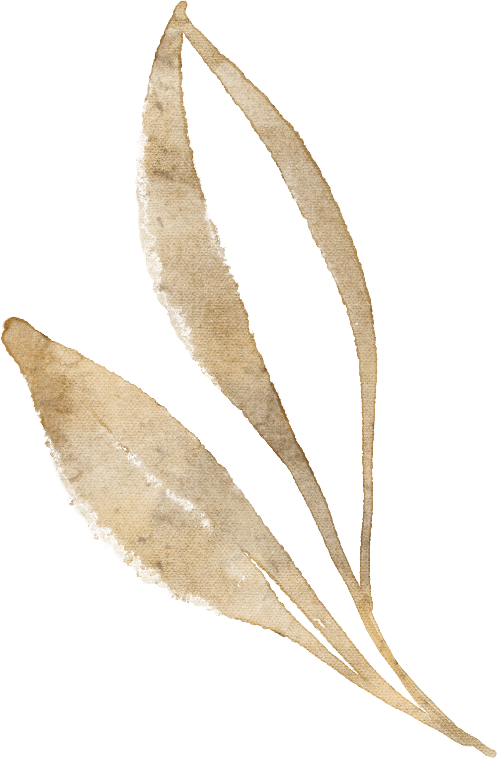 ecf487c5187e353a63a7bb3a70cfbd25-sz_1159342