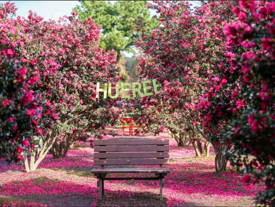 ecf56e812386d875b36a7819c60ac4ad-sz_953919