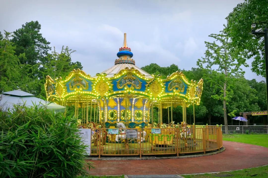 ed70e171e7ad43acb011b91e404e1957-sz_374278