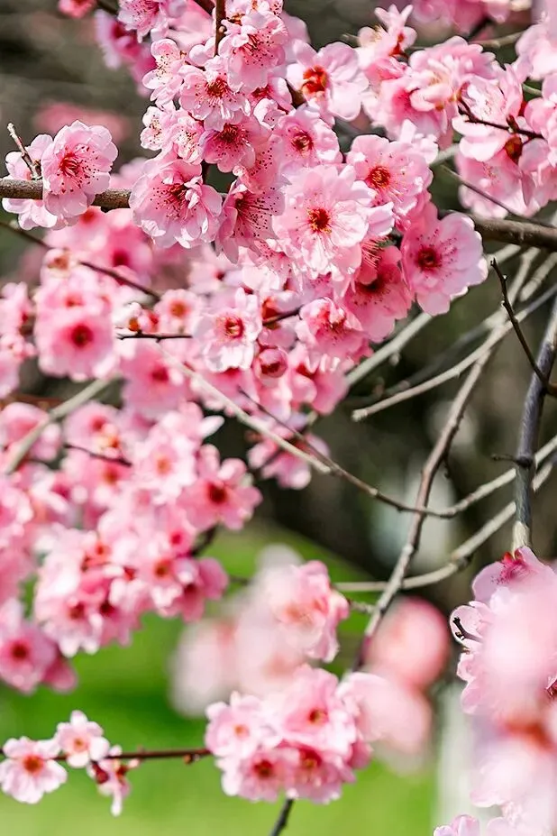 edd2fc2f5279fd4650909bdf1c382592-sz_107240