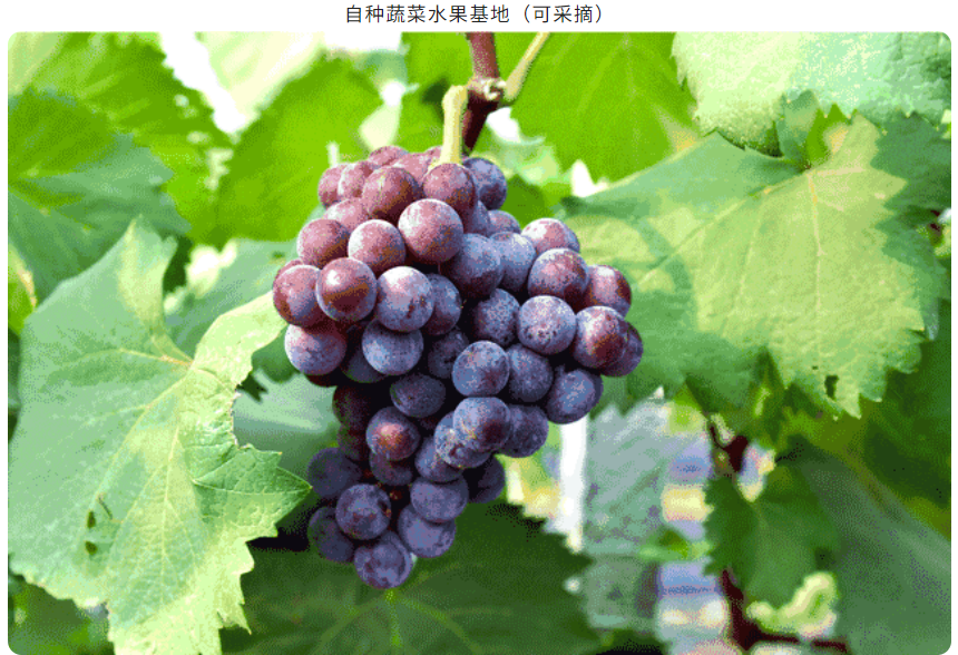 edd865f1c6b6a5b165d74a2a7b37f900