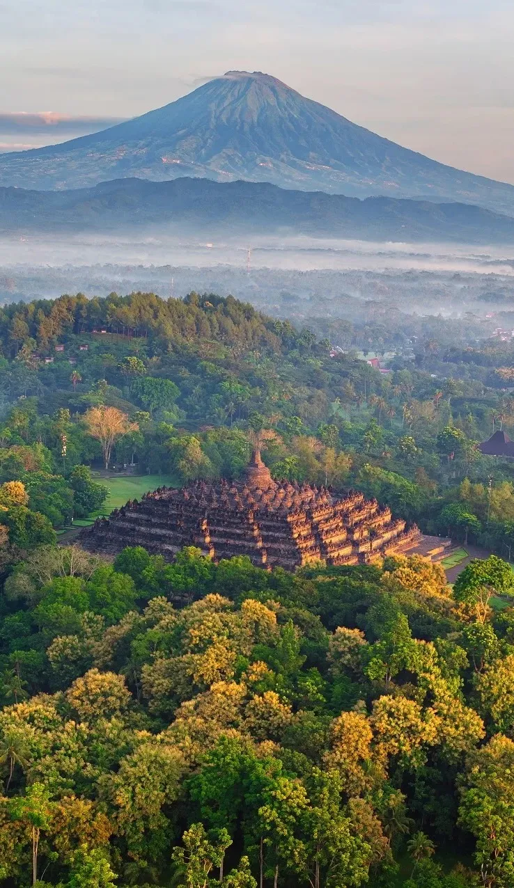 edec86a462c1c2cafcc8f47b77964ab8-sz_496096-1