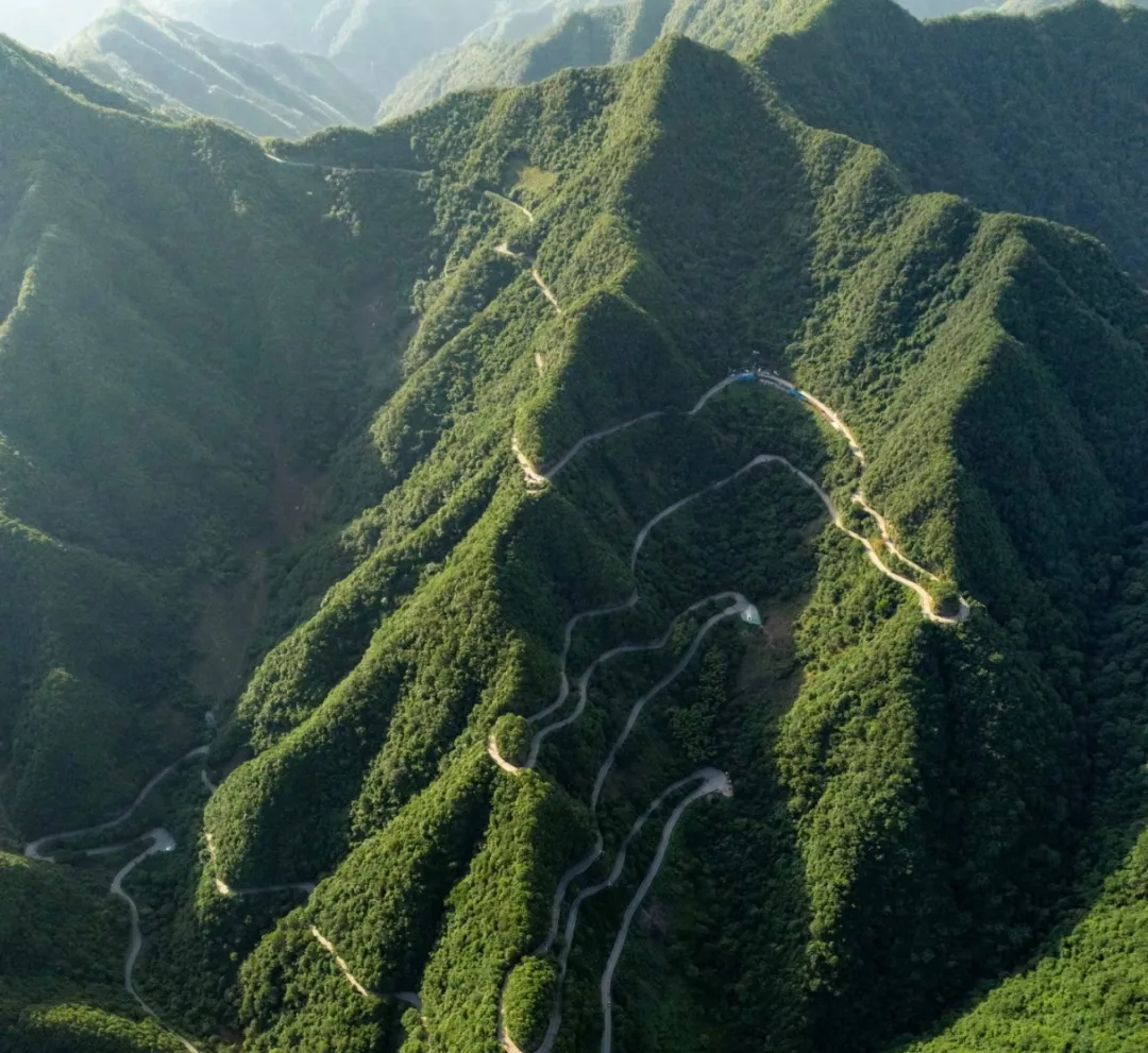 ee09ef34fca58476a866a47bb601293b-sz_2549005