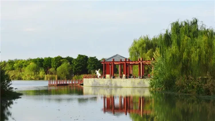 ee0b246659995a862a0993cfa7fa27f3-sz_91432