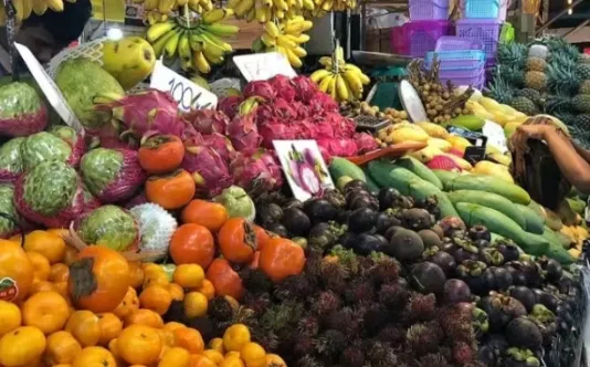 ee3bc8766827c6fb24113cdf02abd43e-sz_1517493 ee3bc8766827c6fb24113cdf02abd43e-sz_1517493