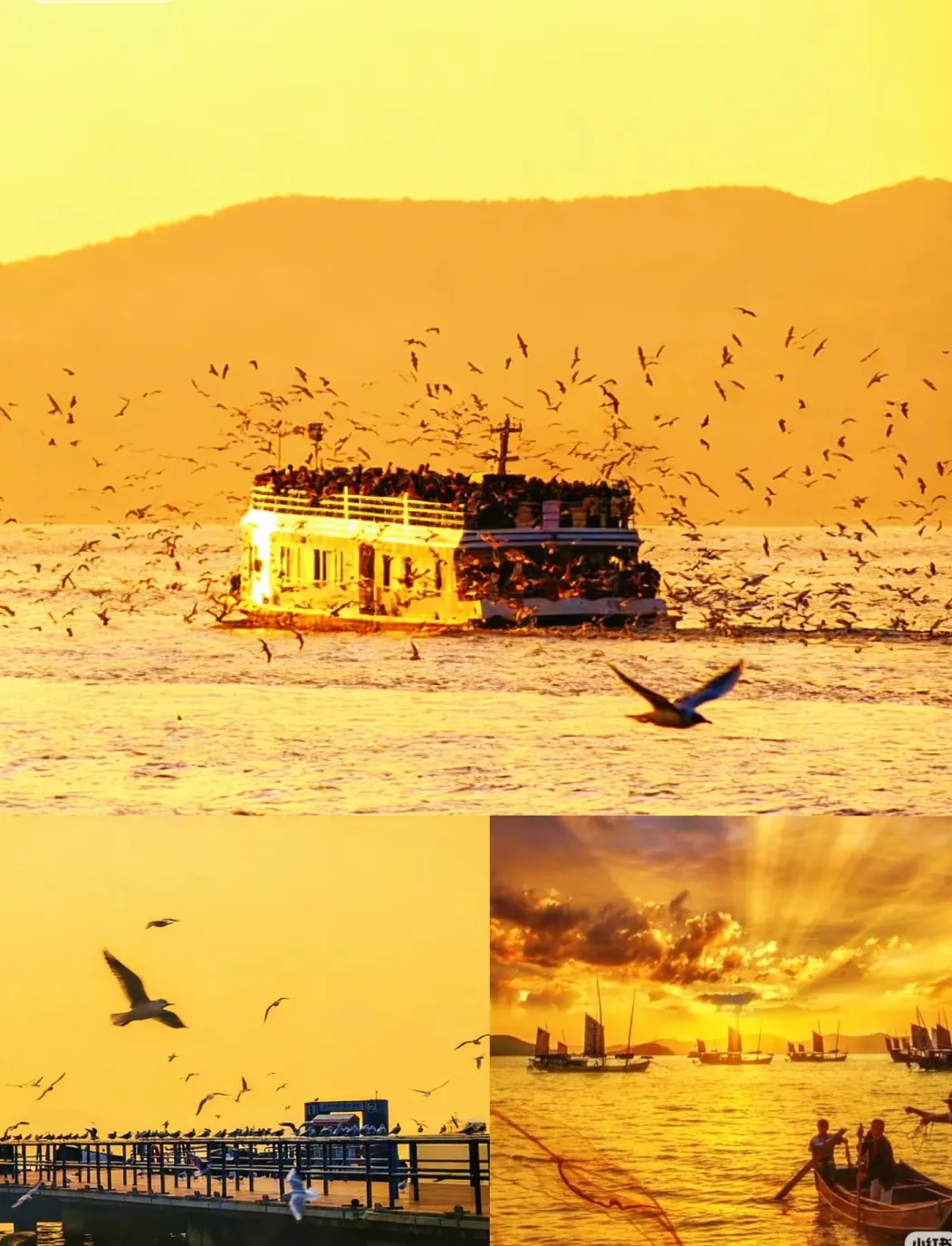 ee55871e71652d415e13a5fd357ecbb8-sz_1155435-2