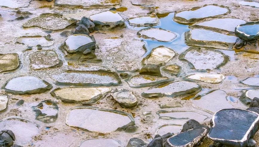 ee608a007231e27b633b547c8428ed02-sz_4514540