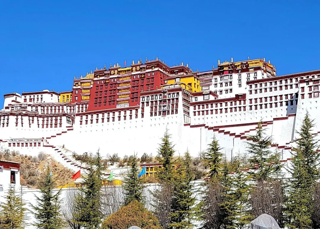 ee6310d372e48a9dd793a272e6dd6768-sz_507555 ee6310d372e48a9dd793a272e6dd6768-sz_507555