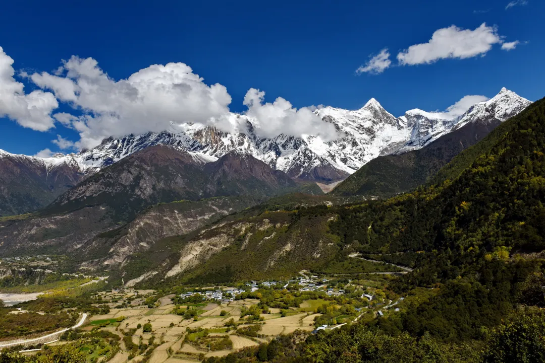 ee65ca7b7e0c7e2e22276281d1f05fc4-sz_2447483