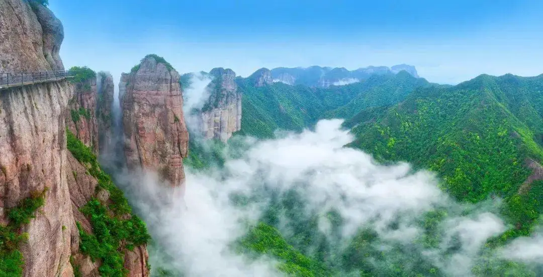 ee917e7906fa32af2bc08ae18803007b-sz_88440-2