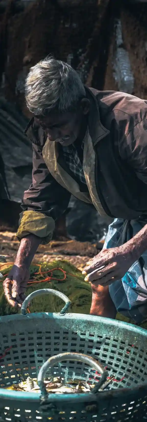 ee93a6e34ea0cbbd134275a0611c7ea6