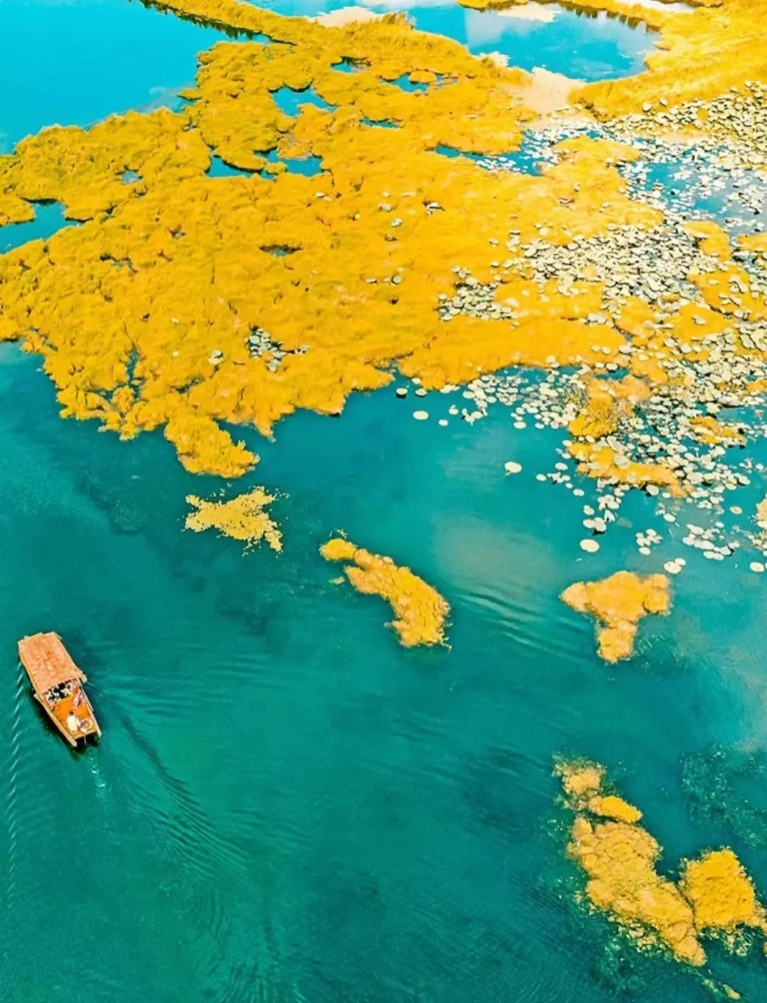 eead67ec313d5190b63eb2905a6bcf72-sz_289063 eead67ec313d5190b63eb2905a6bcf72-sz_289063