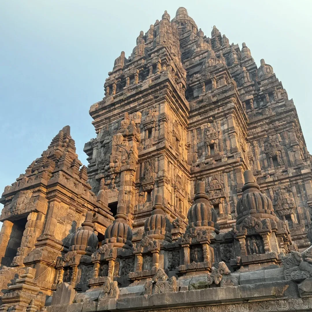 eec1544e3386a7eb04316c1668f5faca-sz_590427