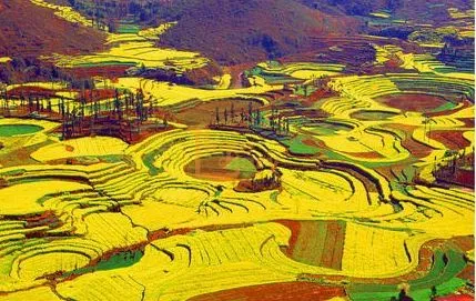 eec7acb745537a0fcf7ed123ca5c39c3-sz_43780