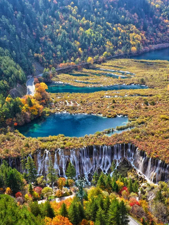 ef2ade8a8cd83689fa1f5e99ed47ba34-sz_2490961