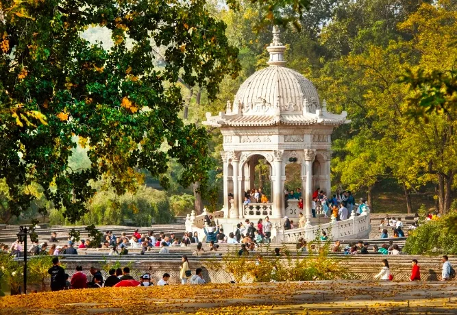 ef2e379b1d460baf1906e86d7677e65a-sz_366296