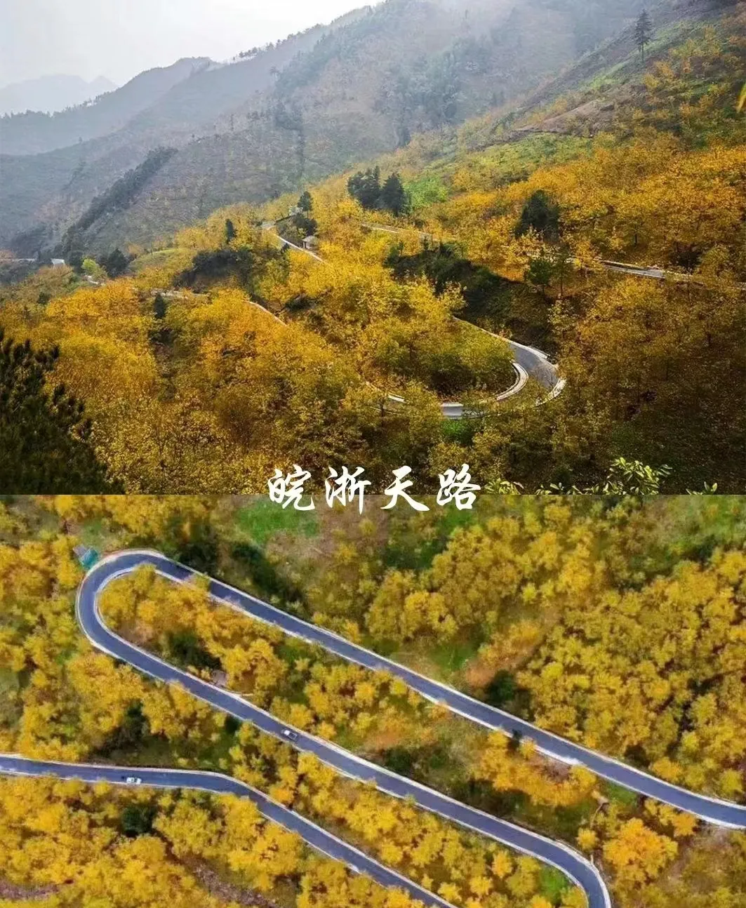 ef3c8709f40f06e721f69a91c8ee3a80-sz_1224815-2