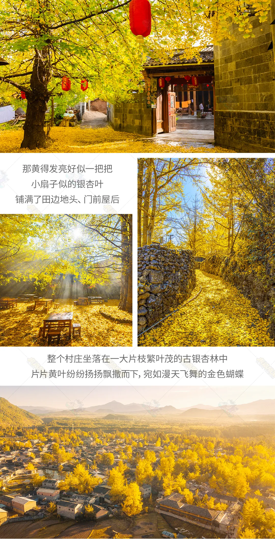 ef95dffab7ed494dfe13e91cd074451b-sz_1860801