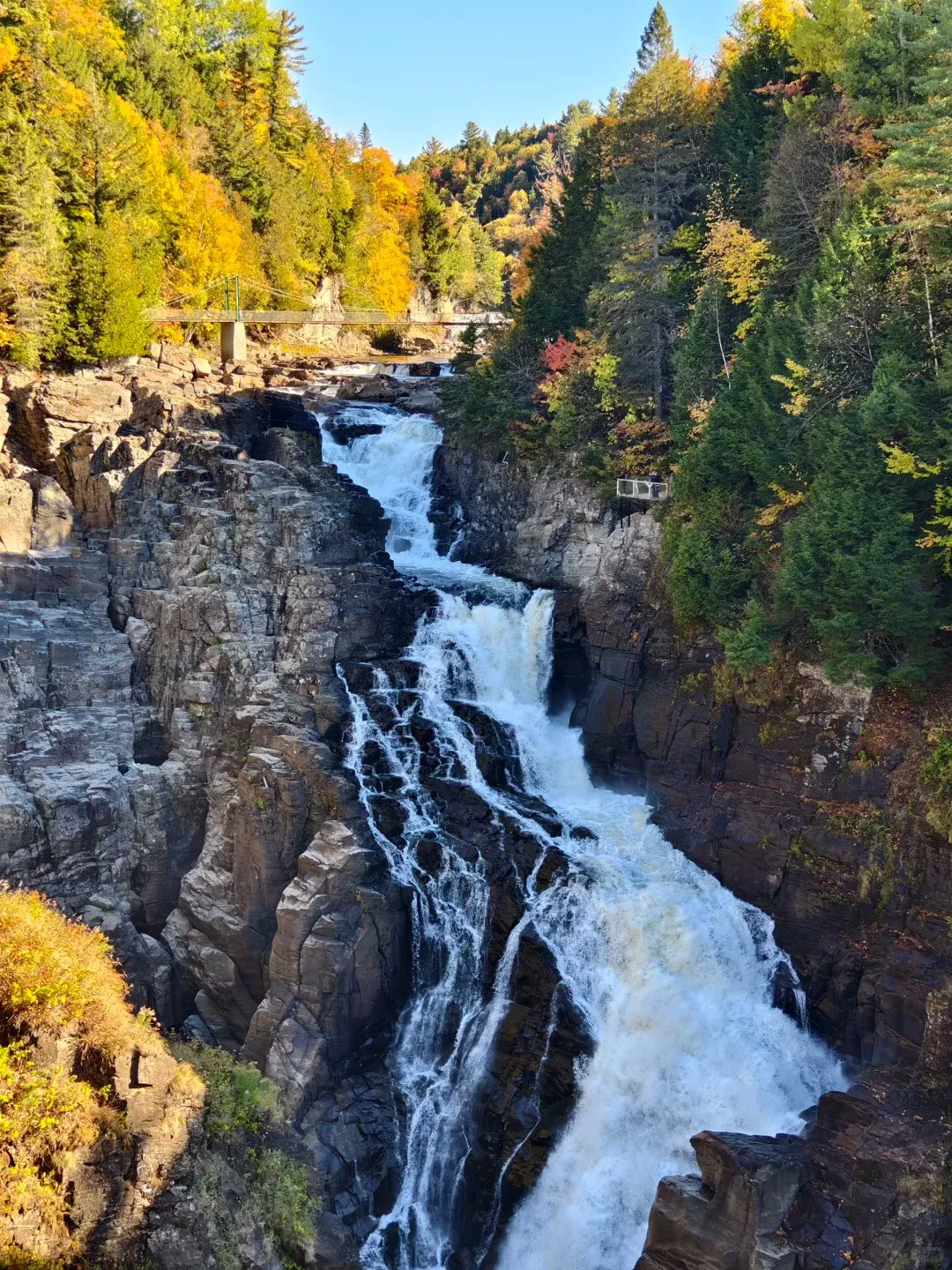 ef9b050afbabd60f14c488be4b8bb236-sz_729245 ef9b050afbabd60f14c488be4b8bb236-sz_729245