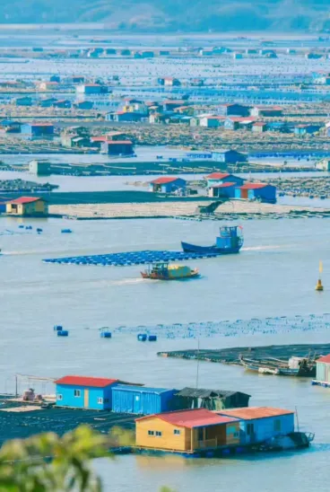 ef9e090a69848f48d90084e564d329c7-sz_316747