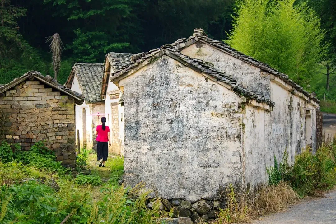 efa652cd495e3ec3602ebd19b055a8b9-sz_221398