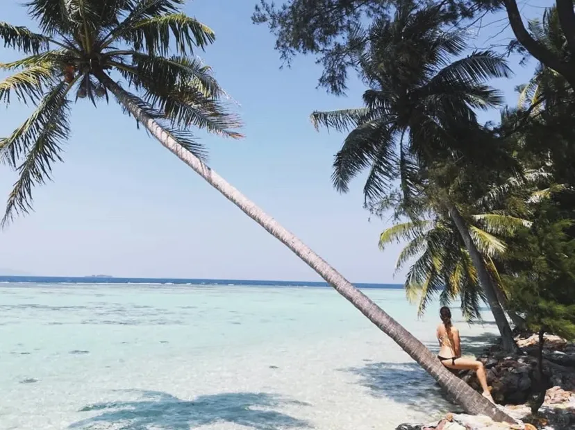 efc660bb5440b11a9a14d4ab71de8c4c-sz_352554