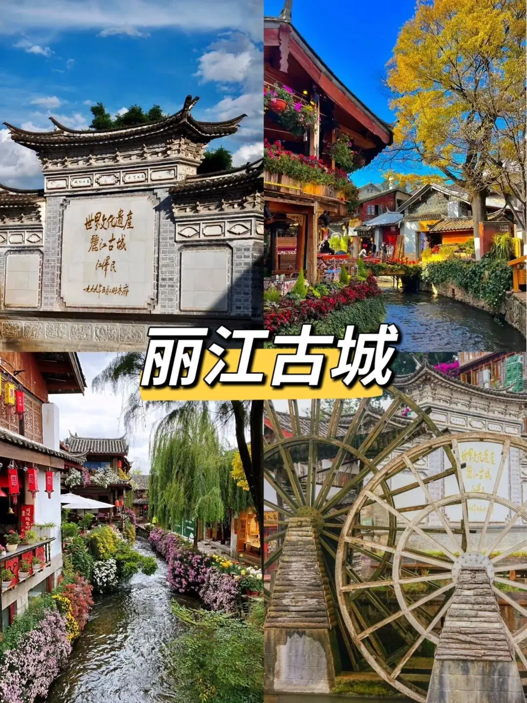 f024a49212d337d02eb6ffa441f384ea-sz_383828