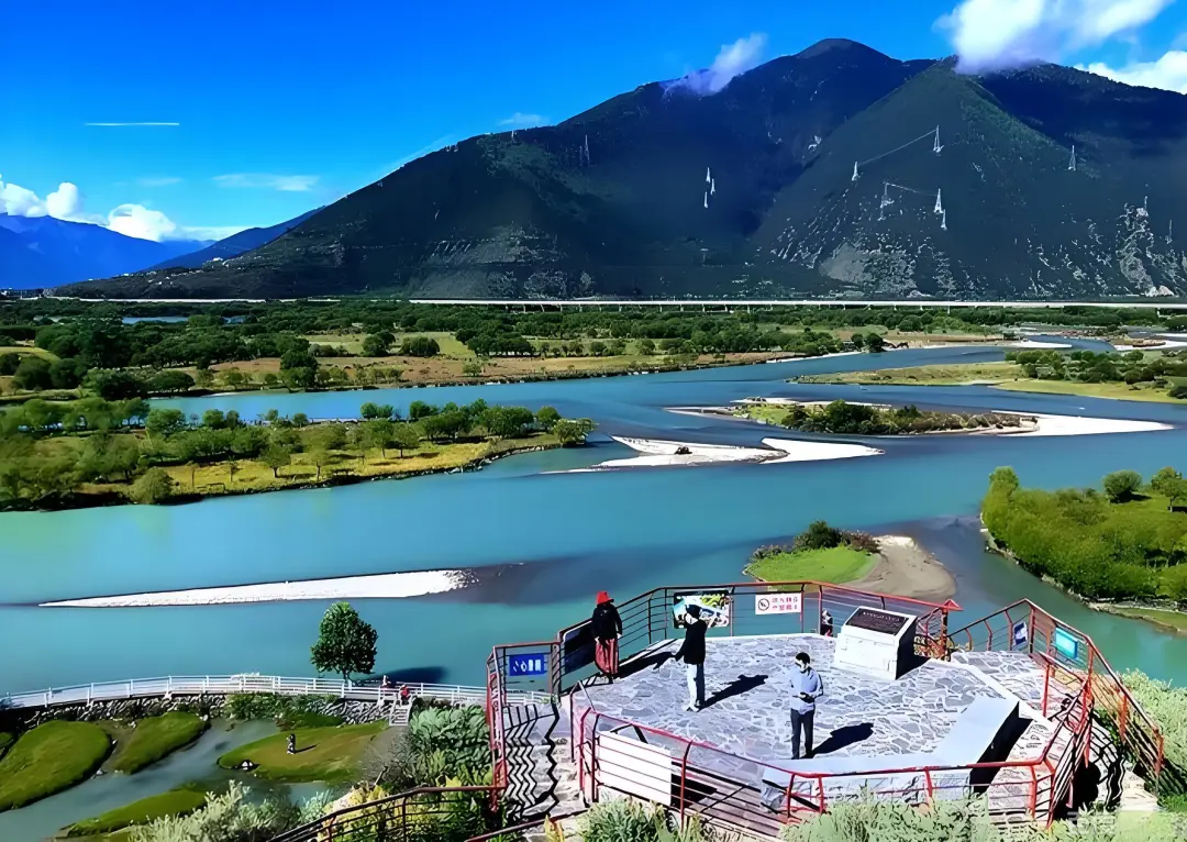 f0255cff541a8df39a43c22e218424c8-sz_805813