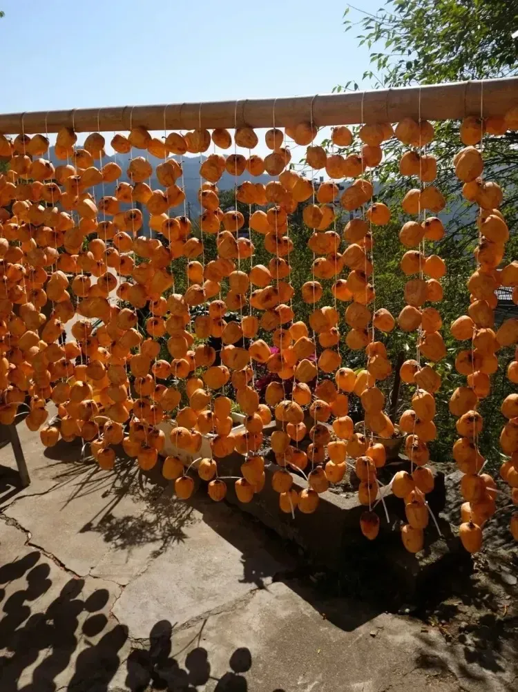 f03eeb3f04758b56811427bdf34f663a-sz_1180108 f03eeb3f04758b56811427bdf34f663a-sz_1180108