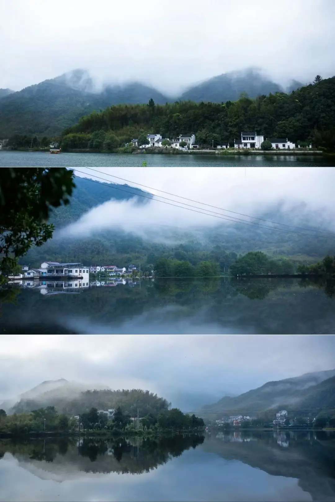 f0506d847104a334b2b53844f4b0eda4-sz_194191